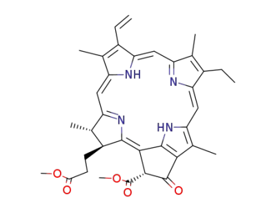 pheophorbide a methyl ester